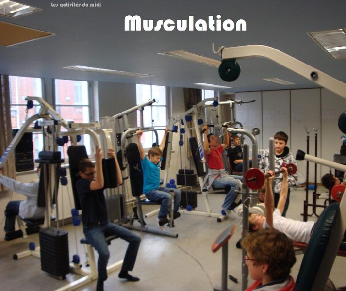 musculation-1-principale_1