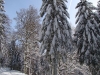 dsc01571