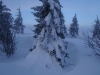 dsc01637
