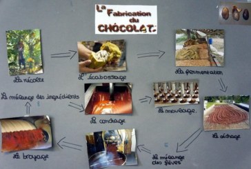 Deux graines de cacao à l’affiche
