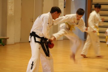 Le Taekwon-Do expliqué par M. Kampf, champion de Belgique à deux reprises