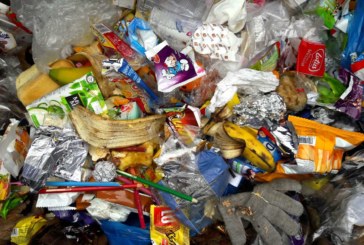 Une tonne de déchets récoltée chaque semaine au Collège !