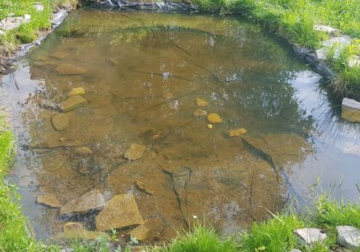 20190522_100149