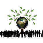Un collège plus vert et plus éco responsable