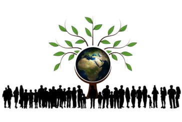 Un collège plus vert et plus éco responsable