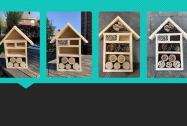 Construire un hôtel pour les insectes