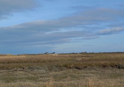 IMG-20230317-WA0199