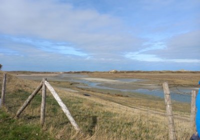 IMG-20230317-WA0211