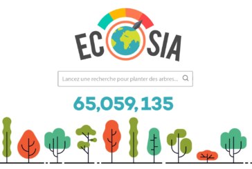 Ecosia sur les Chromebook